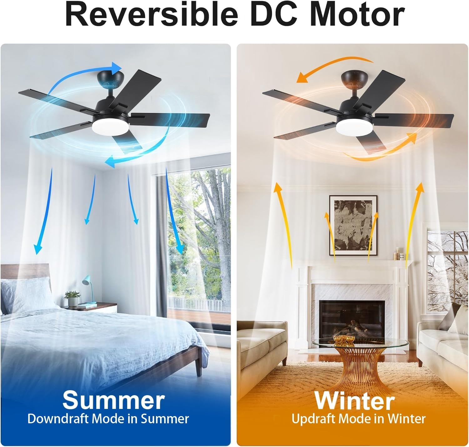 Rayqueen 42 inch ceiling fan with remote and light