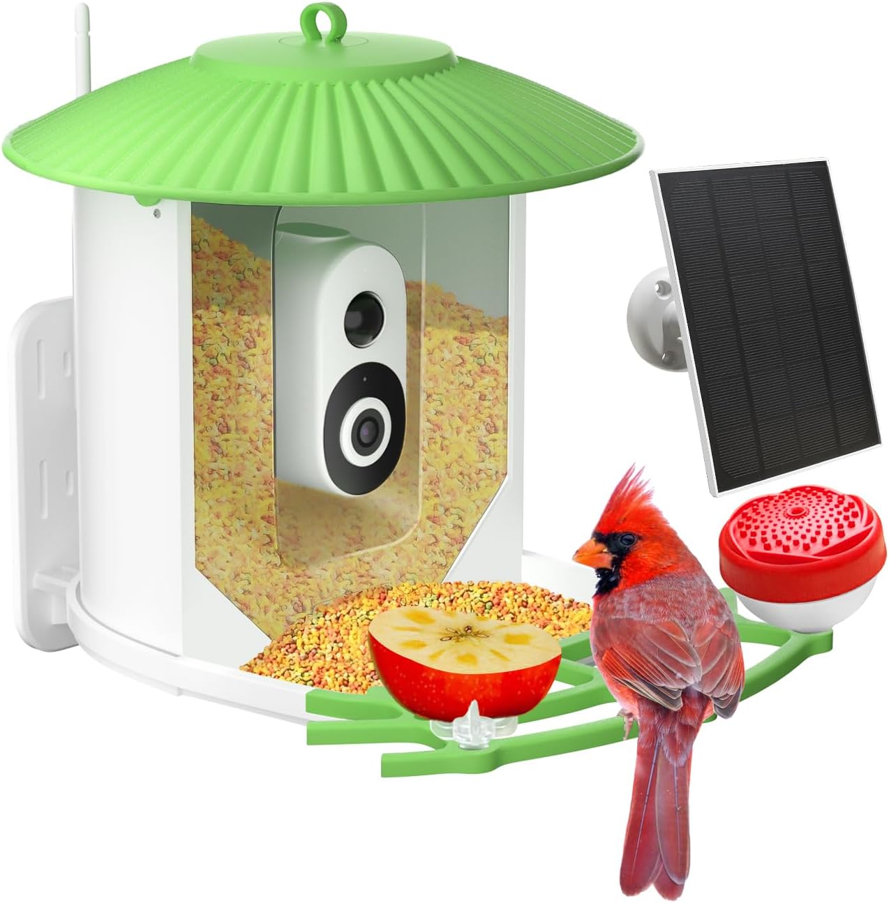 runofast HiBirds-Smart Bird Feeder with Camera,Bird Watching Camera with Solar Powered,