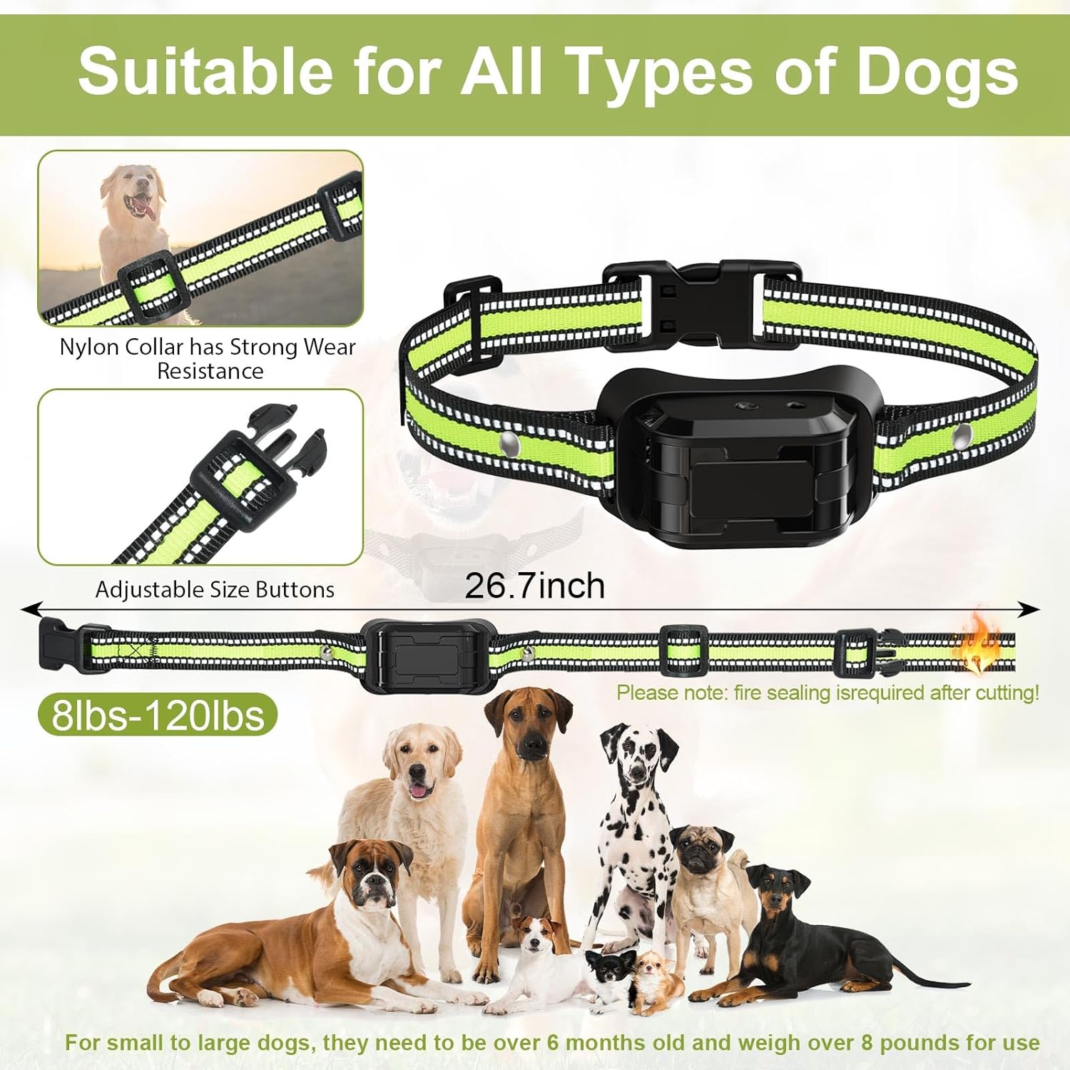 Citronella Training Collar for Dogs T510 with NO Refill