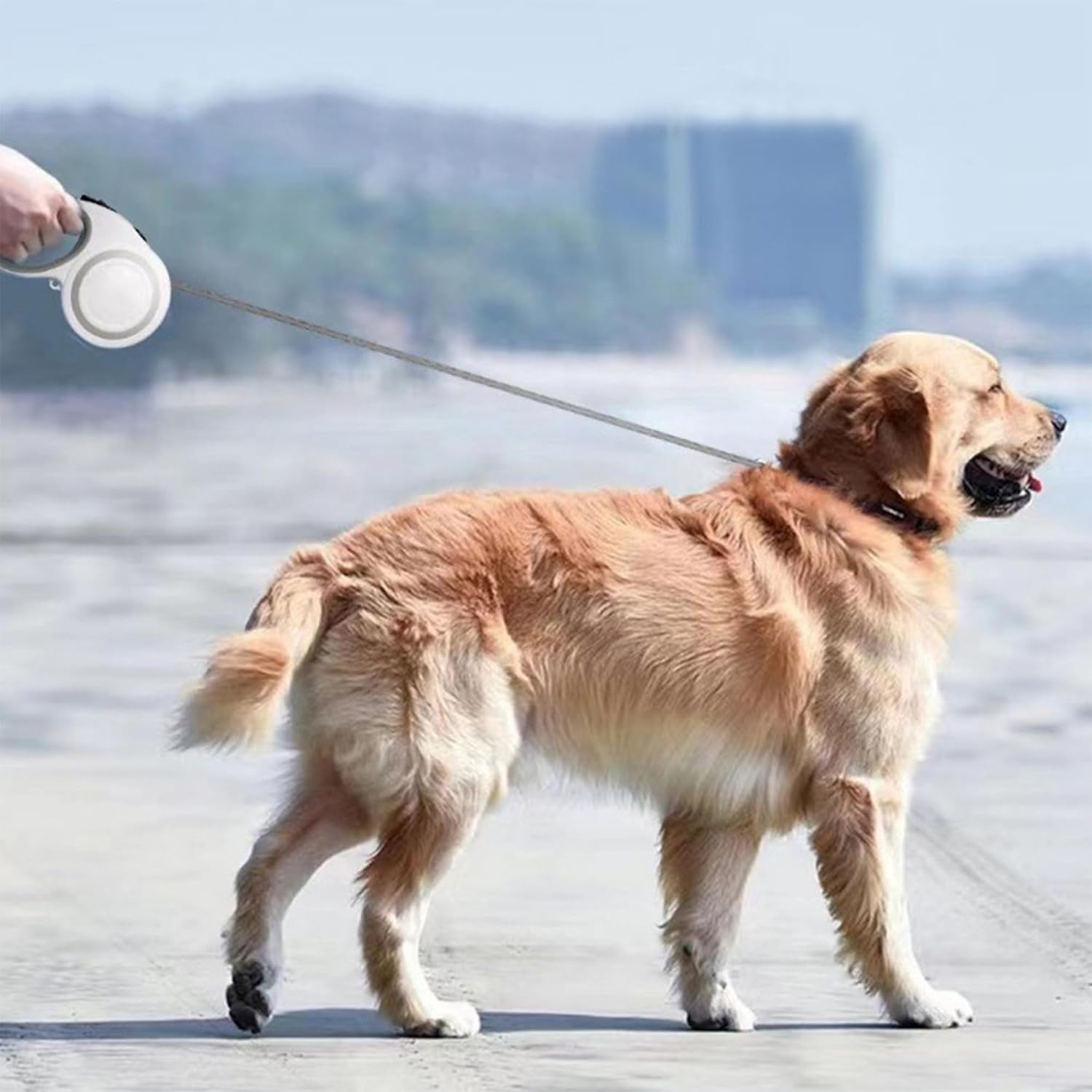 Introducing our 360° Tangle-Free Retractable Dog Leash!