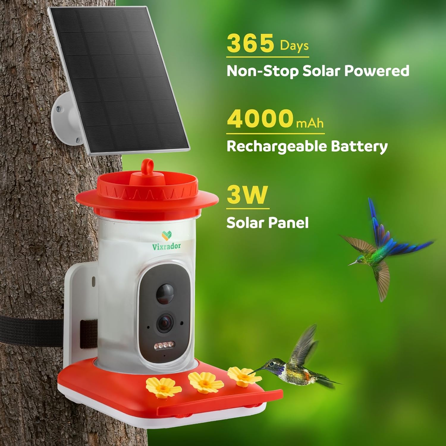 Vixrador smart hummingbird feeder combines advanced technology with practical design
