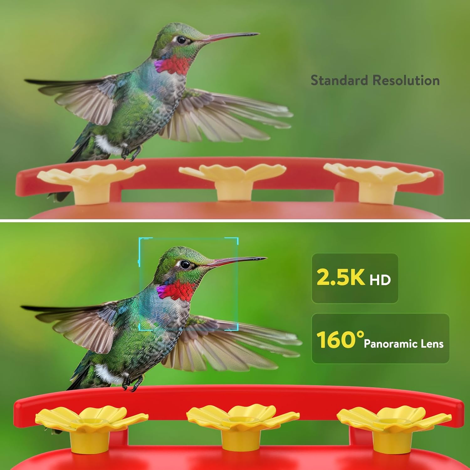 Vixrador smart hummingbird feeder combines advanced technology with practical design