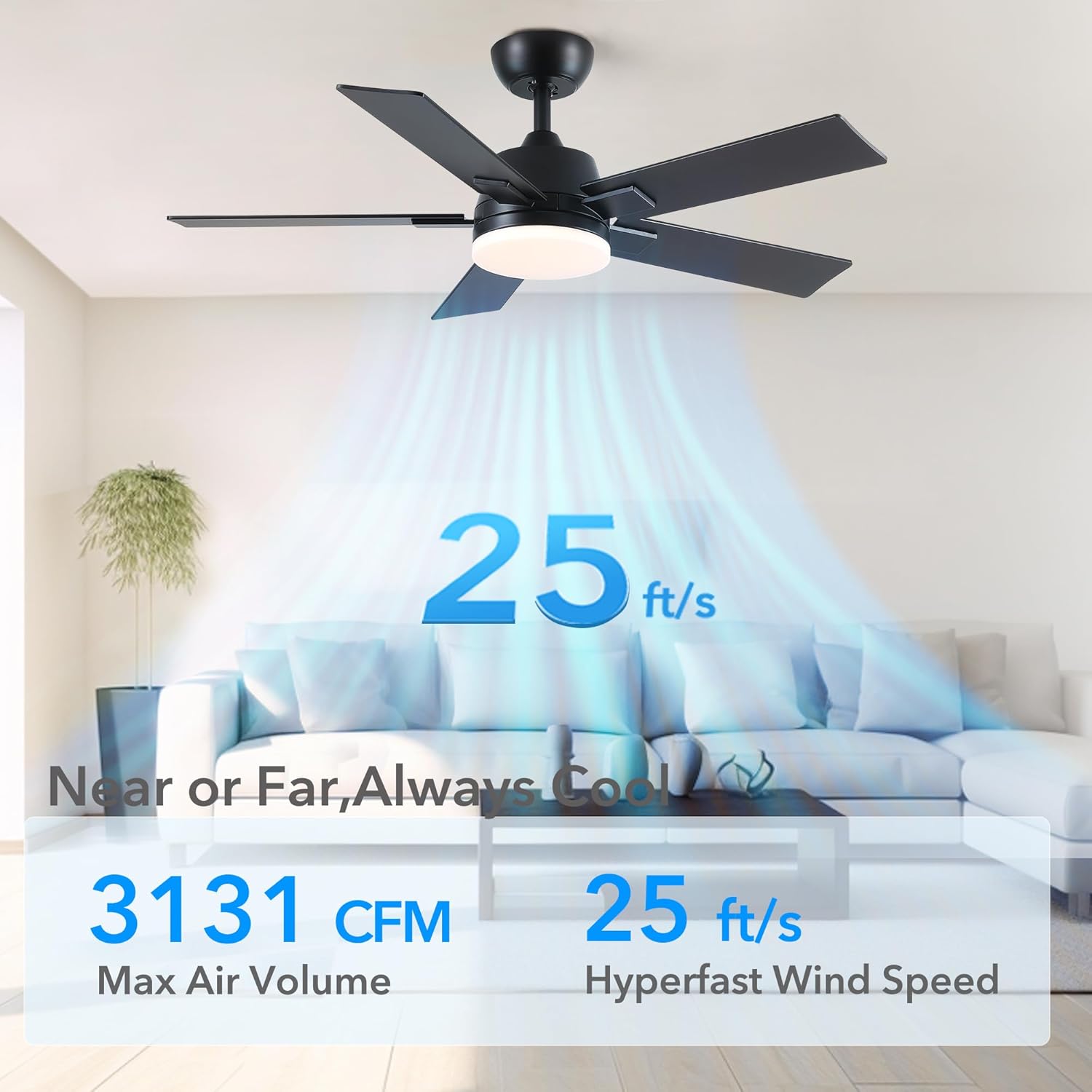 Rayqueen 42 inch ceiling fan with remote and light