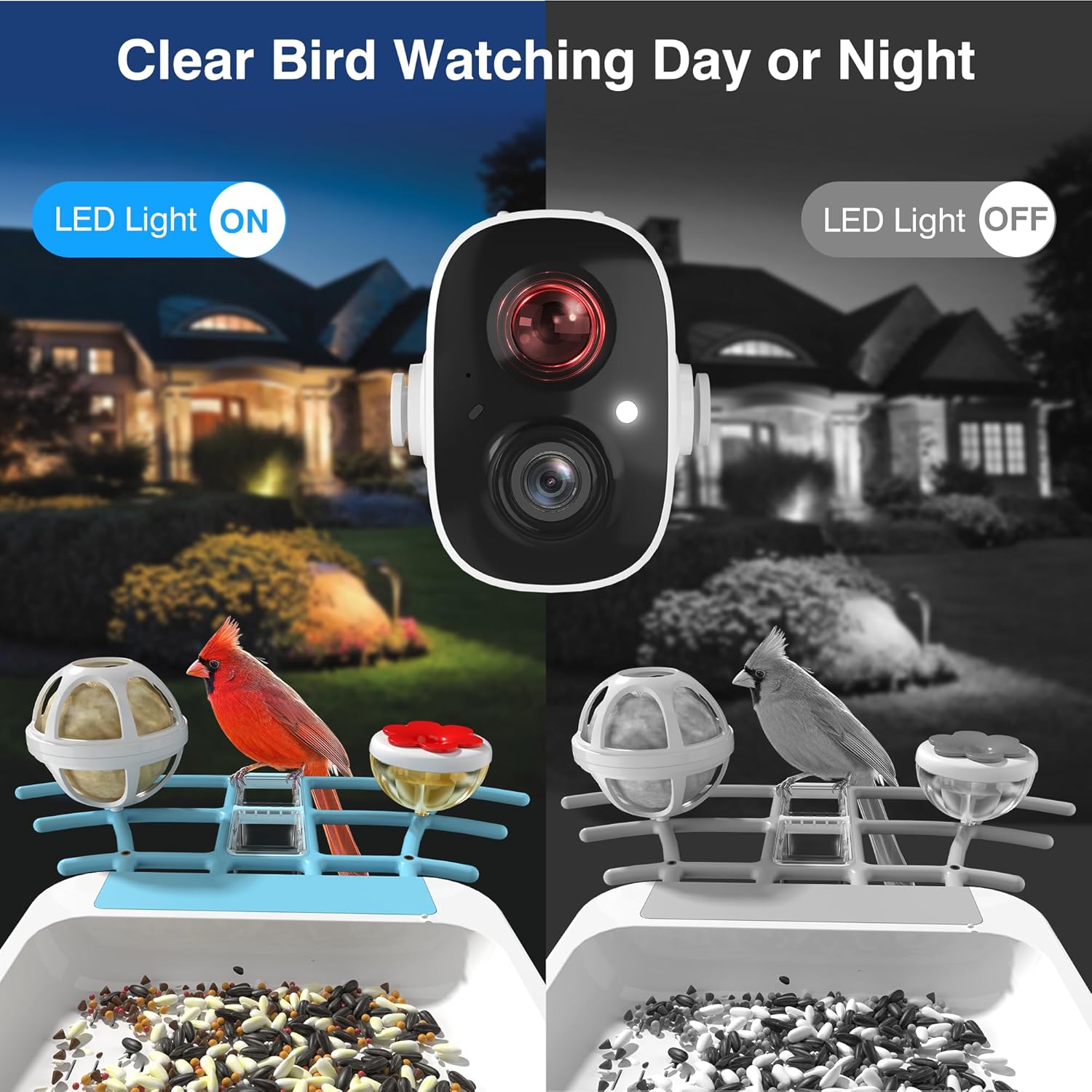 PETCAL Smart Solar Bird Feeder combines advanced technology with nature observation