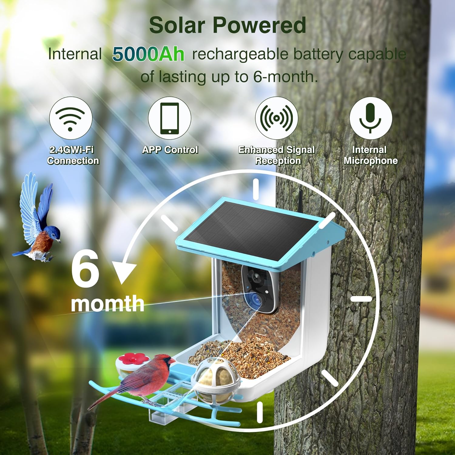 PETCAL Smart Solar Bird Feeder combines advanced technology with nature observation