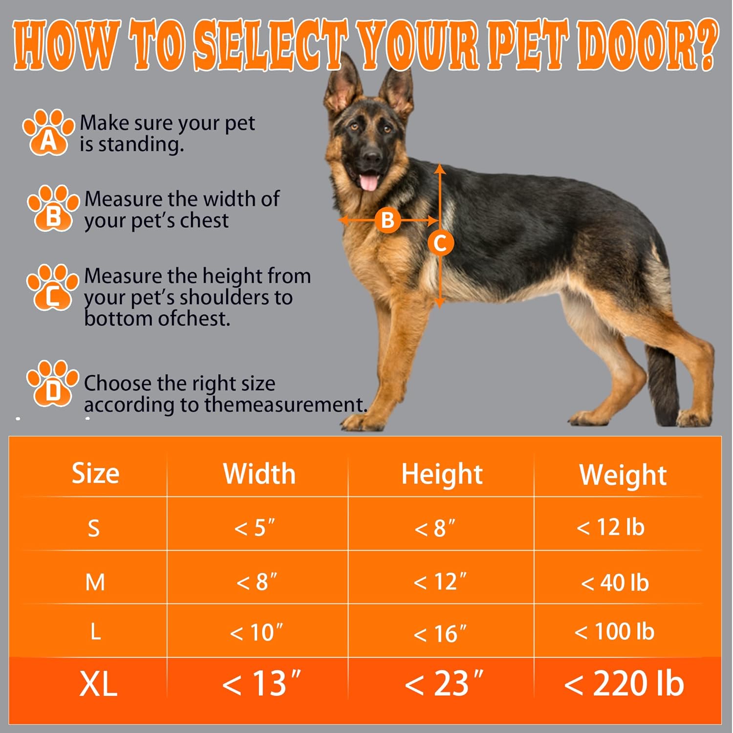 Miaotong Large Dog Door – Double Flap, Steel Frame, Wall Mount