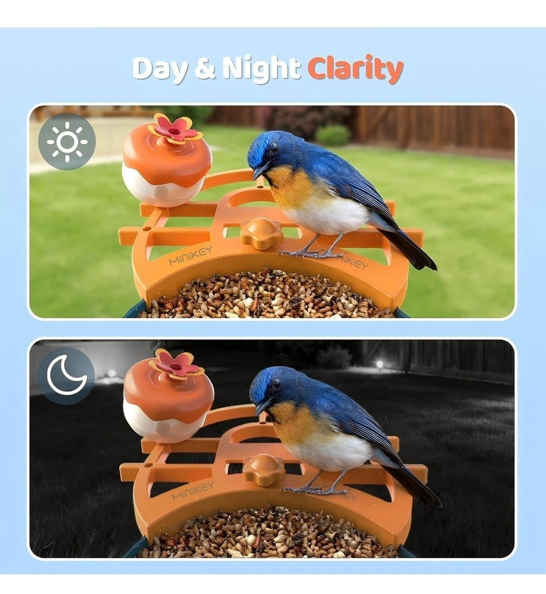 AI Bird Feeder Camera - Smart Solar Powered Bird Feeder with 2K HD & Night Vision