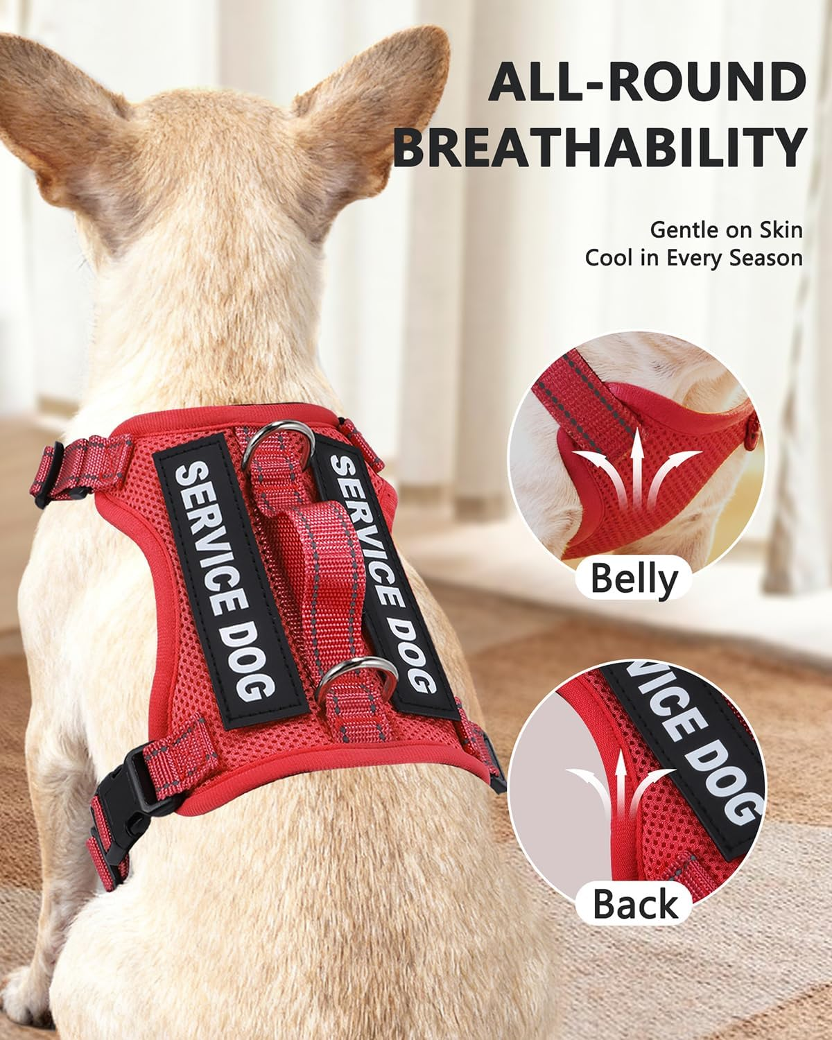 Service Dog Vest for Small Breed Dogs with ID Tag - Lightweight Harness & Leash Set with 6 Patches, Red Size S