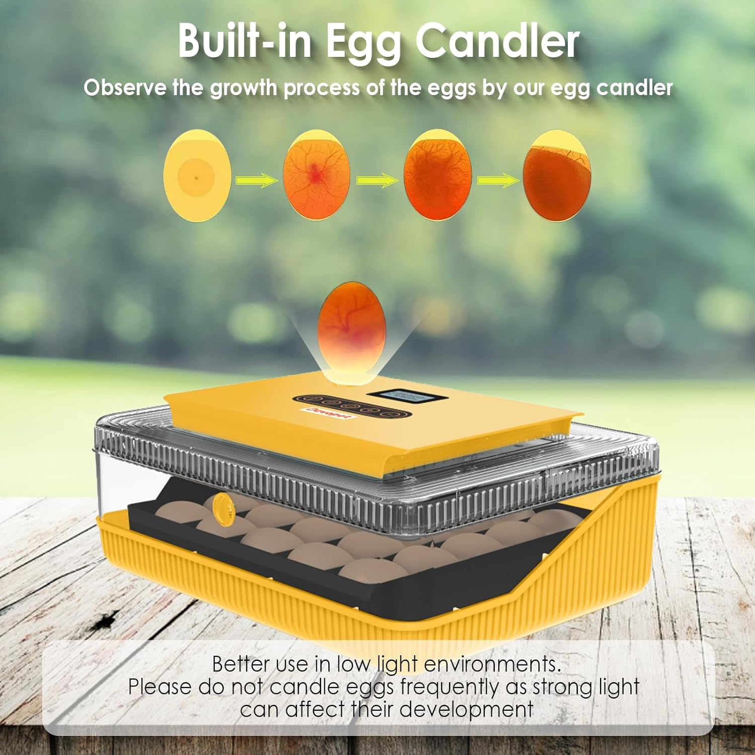 Digital Egg Incubator - Automatic Egg Turner with LED Display, Temperature & Humidity Control for 25 Chicken Eggs