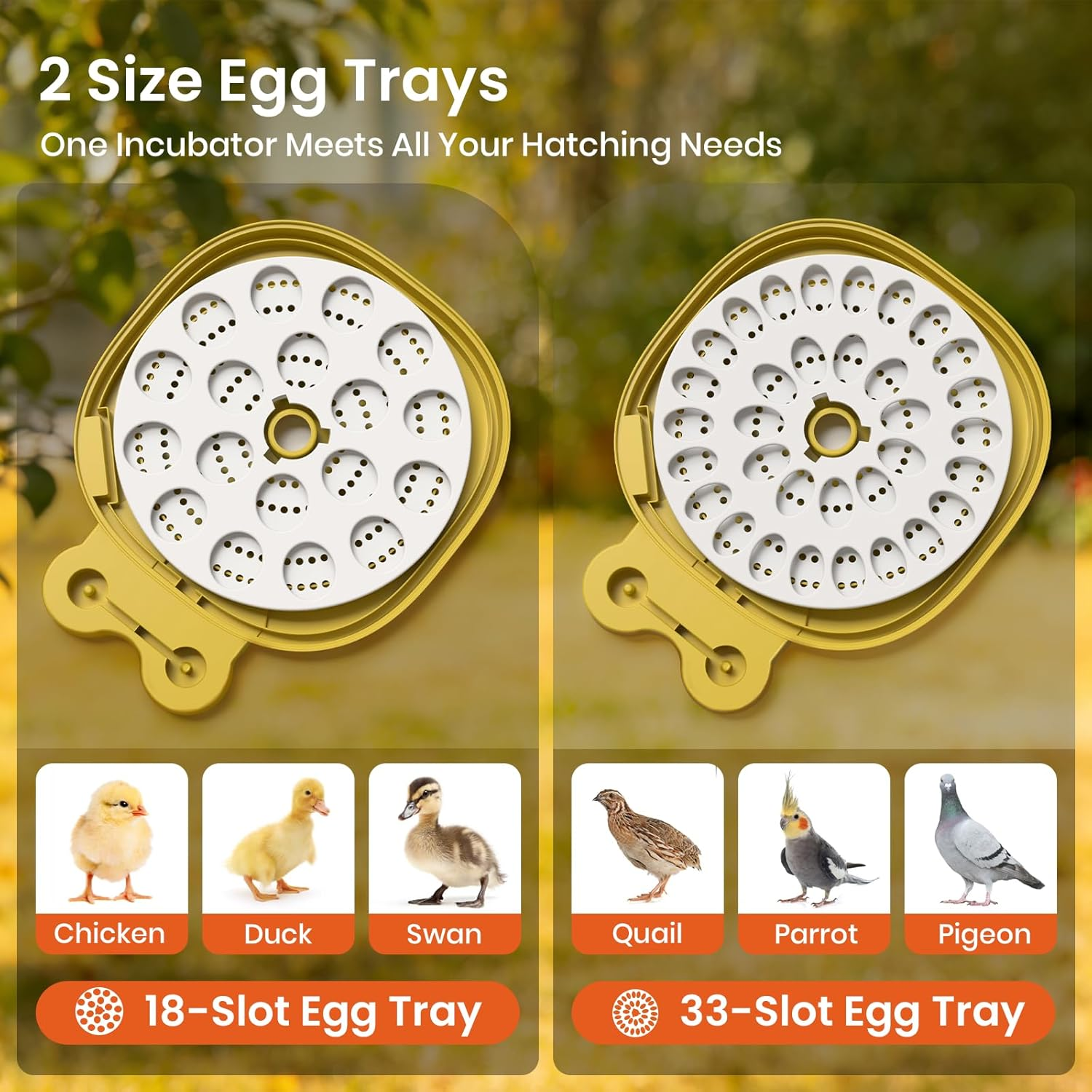 Egg Incubator 18-33 Eggs Auto Turn Humidity LED Display