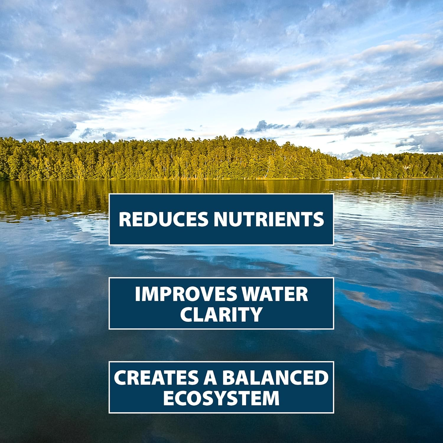 Airmax PondClear Beneficial Bacteria Pond Clarifier