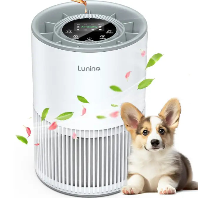 LUNINO BW302 HEPA Electric Air Purifier
