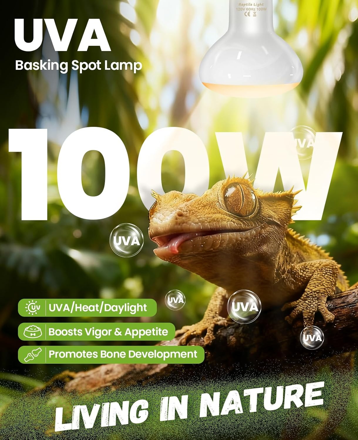 100W Reptile Heat Lamp Bulbs 2-Pack - 2700K Basking Spot Light, 3000H Lifespan, E26 Base