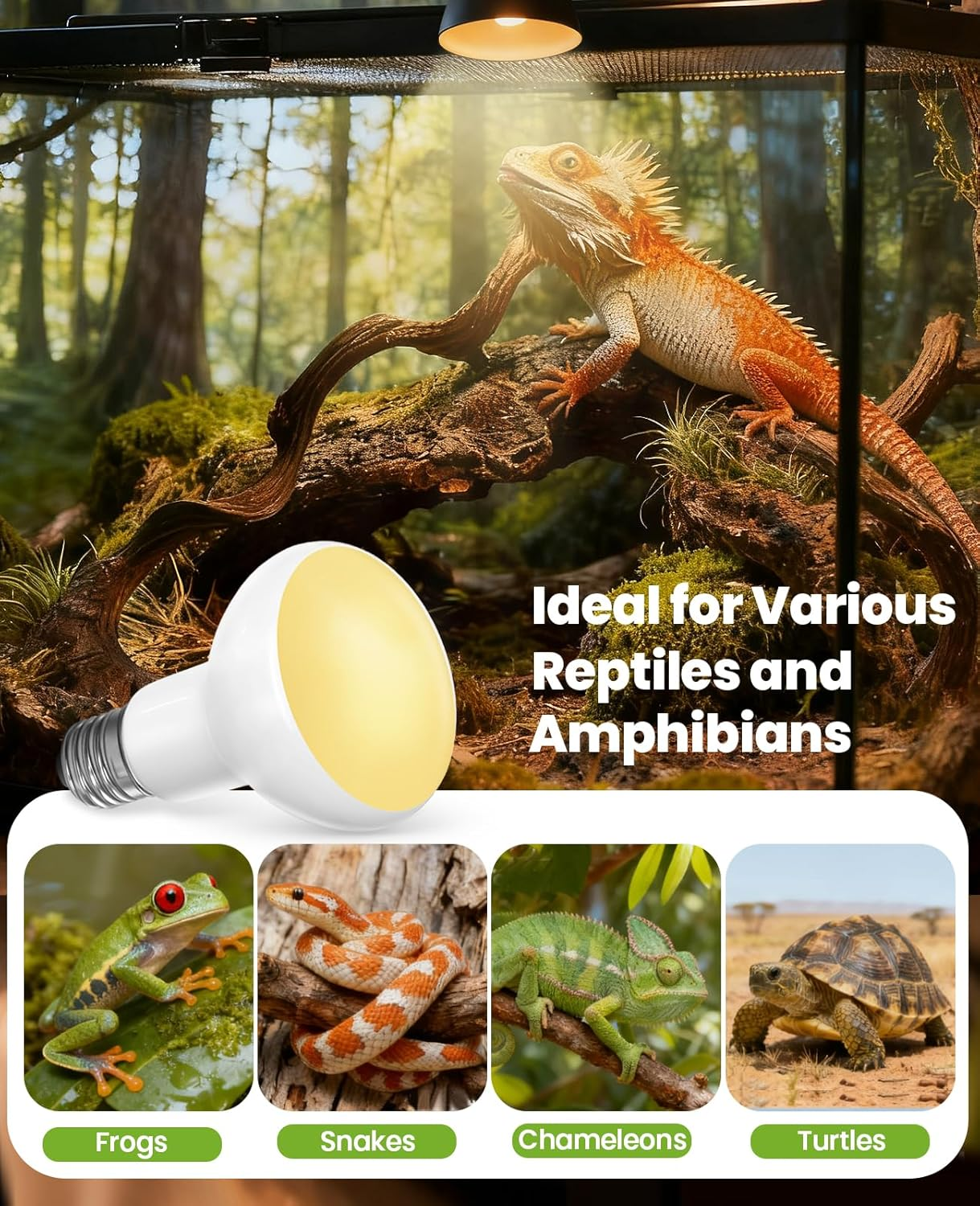 100W Reptile Heat Lamp Bulbs 2-Pack - 2700K Basking Spot Light, 3000H Lifespan, E26 Base