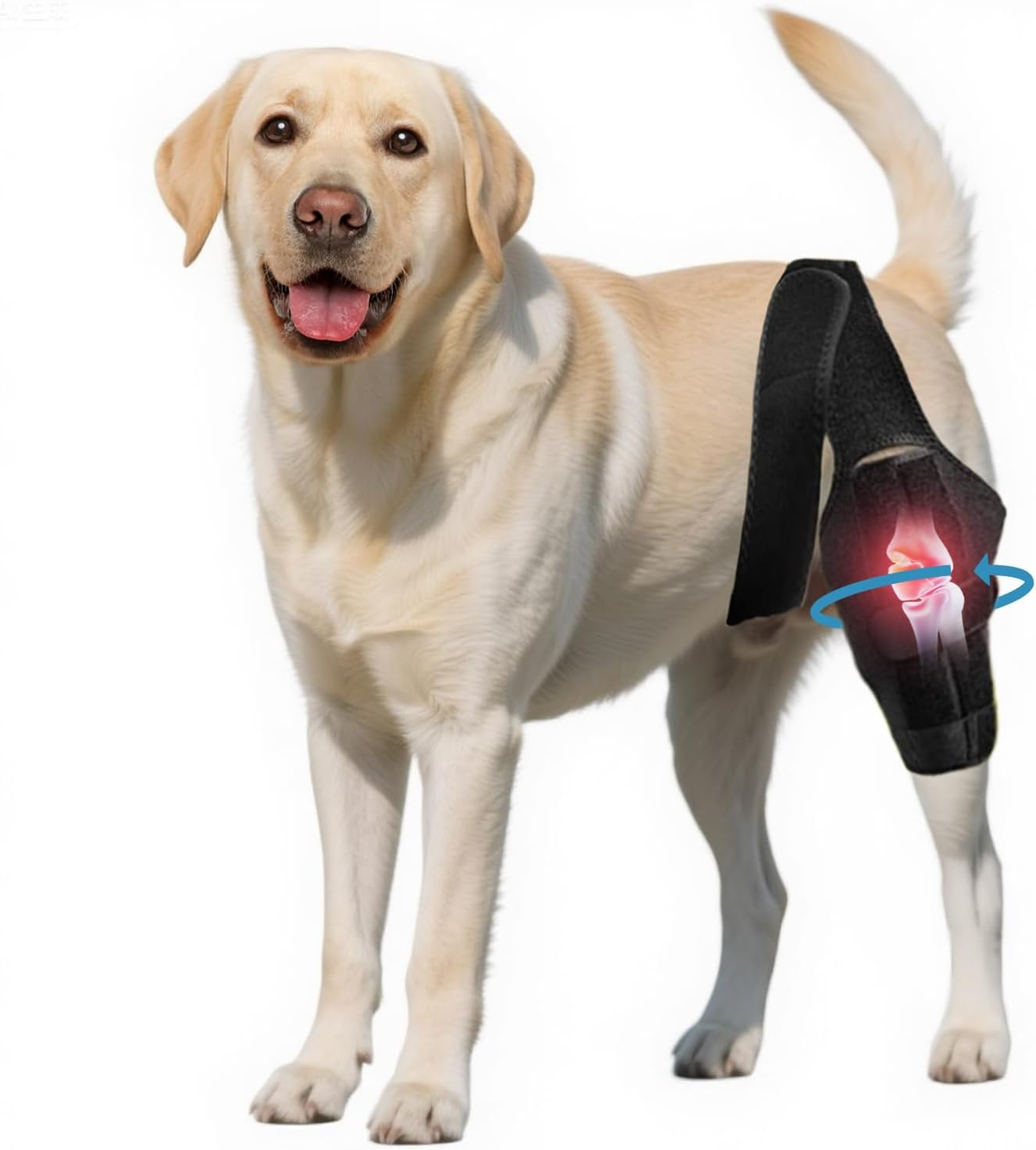 Dog Knee Brace for Hind & Front Legs - Adjustable Canine Leg Support Wrap with Side Stabilizers