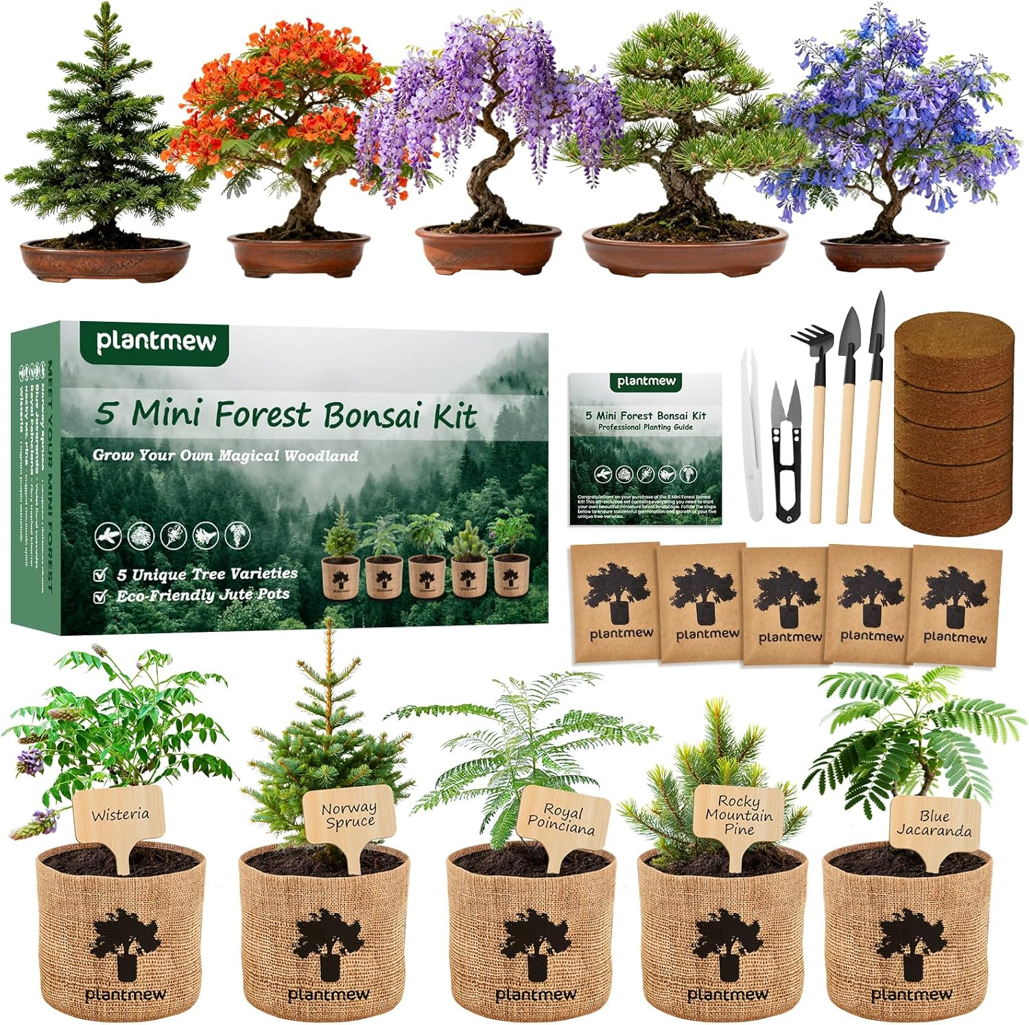 Bonsai Tree Starter Kit - Grow 5 Unique Varieties from Seed with Complete Growing Supplies