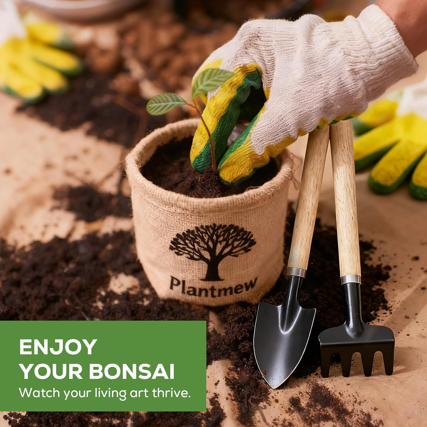 Bonsai Tree Starter Kit - Grow 5 Unique Varieties from Seed with Complete Growing Supplies