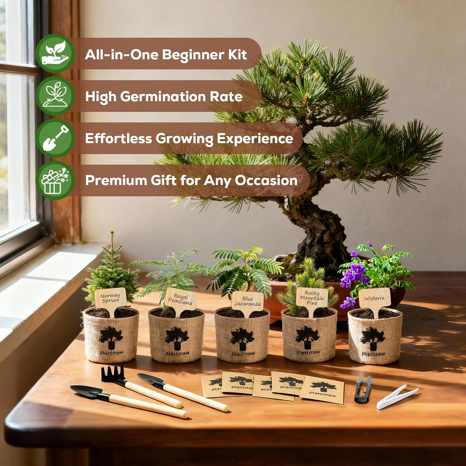Bonsai Tree Starter Kit - Grow 5 Unique Varieties from Seed with Complete Growing Supplies
