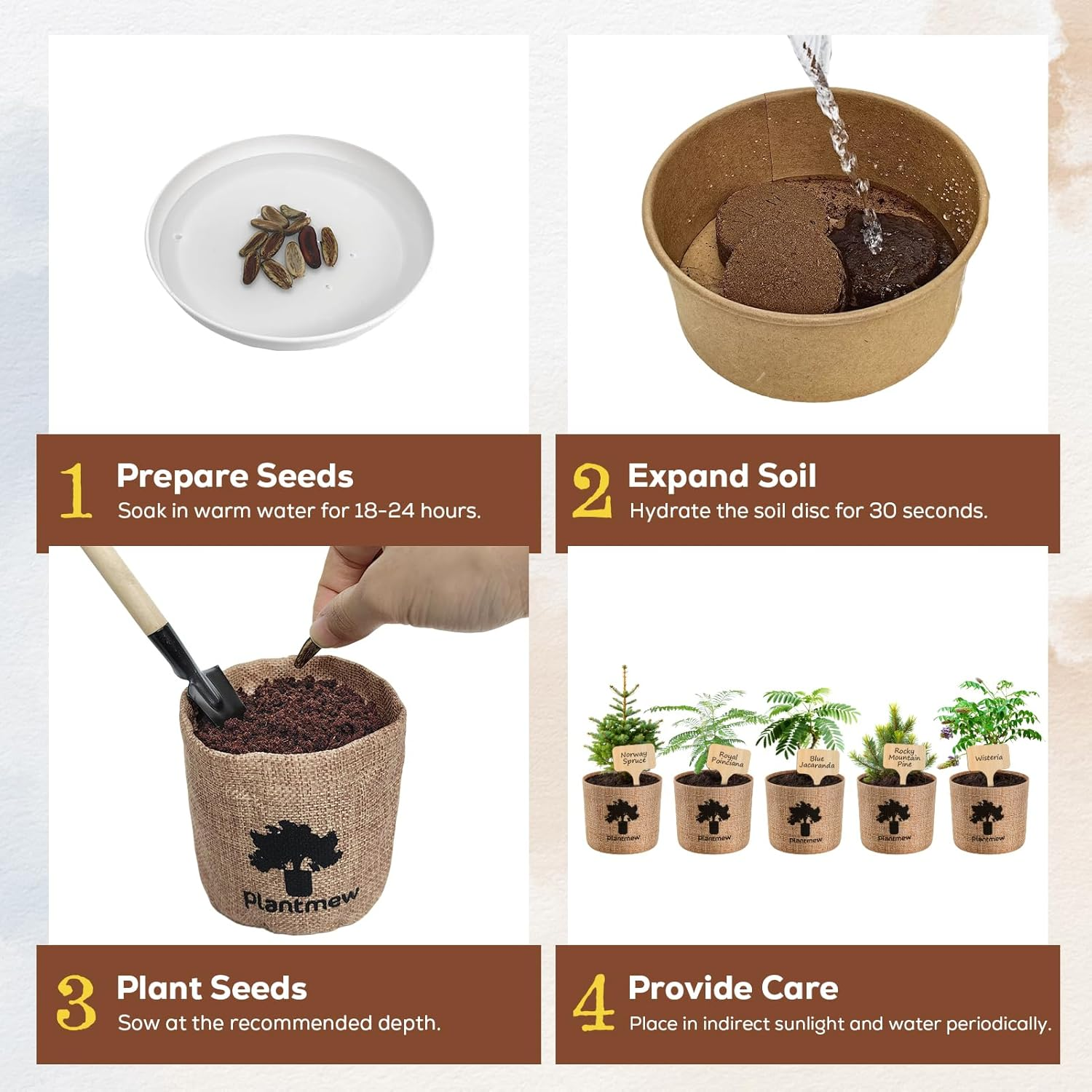 Bonsai Tree Starter Kit - Grow 5 Unique Varieties from Seed with Complete Growing Supplies