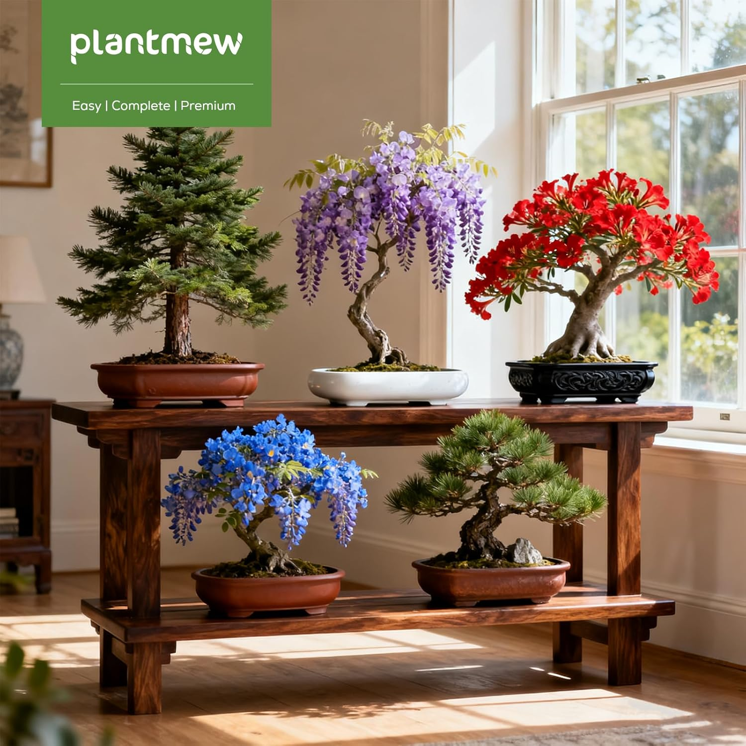 Bonsai Tree Starter Kit - Grow 5 Unique Varieties from Seed with Complete Growing Supplies