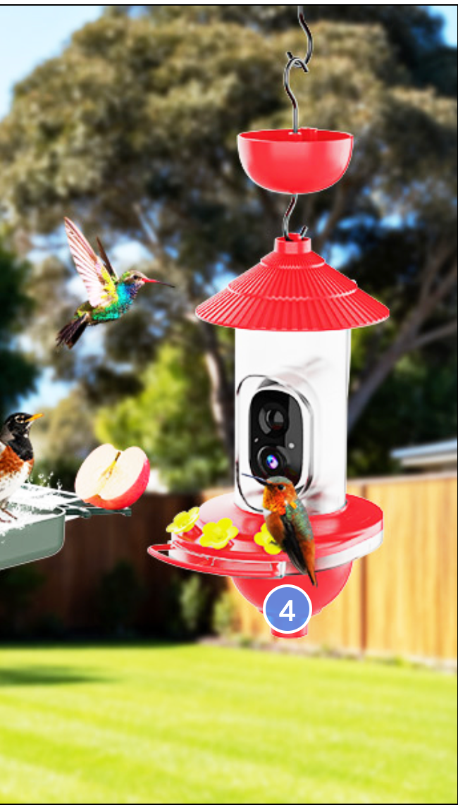 Hummingbird Feeder with Camera - Solar Powered 2K Smart Bird Feeder with AI Detection