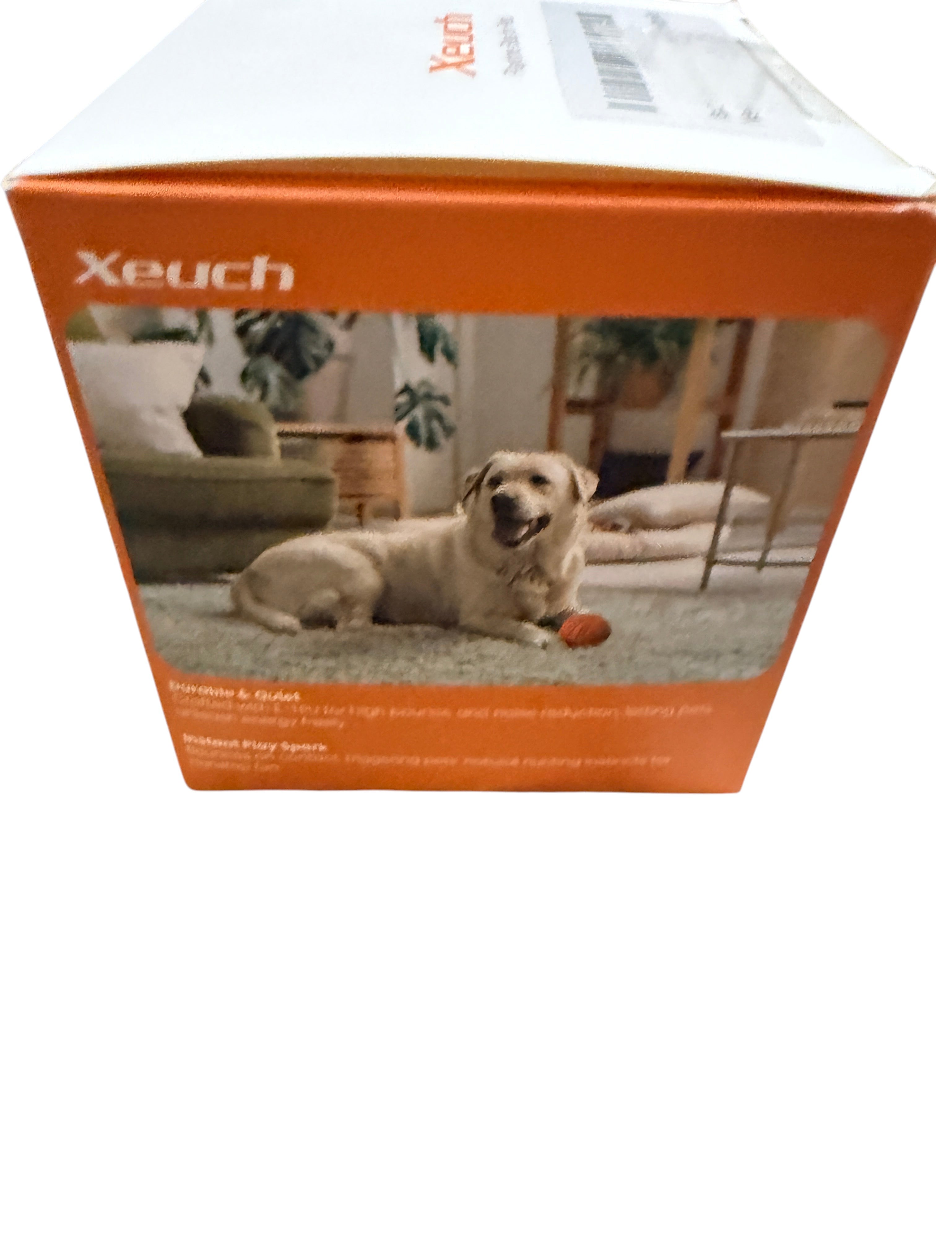 Xeuch Blue Dog Ball - back