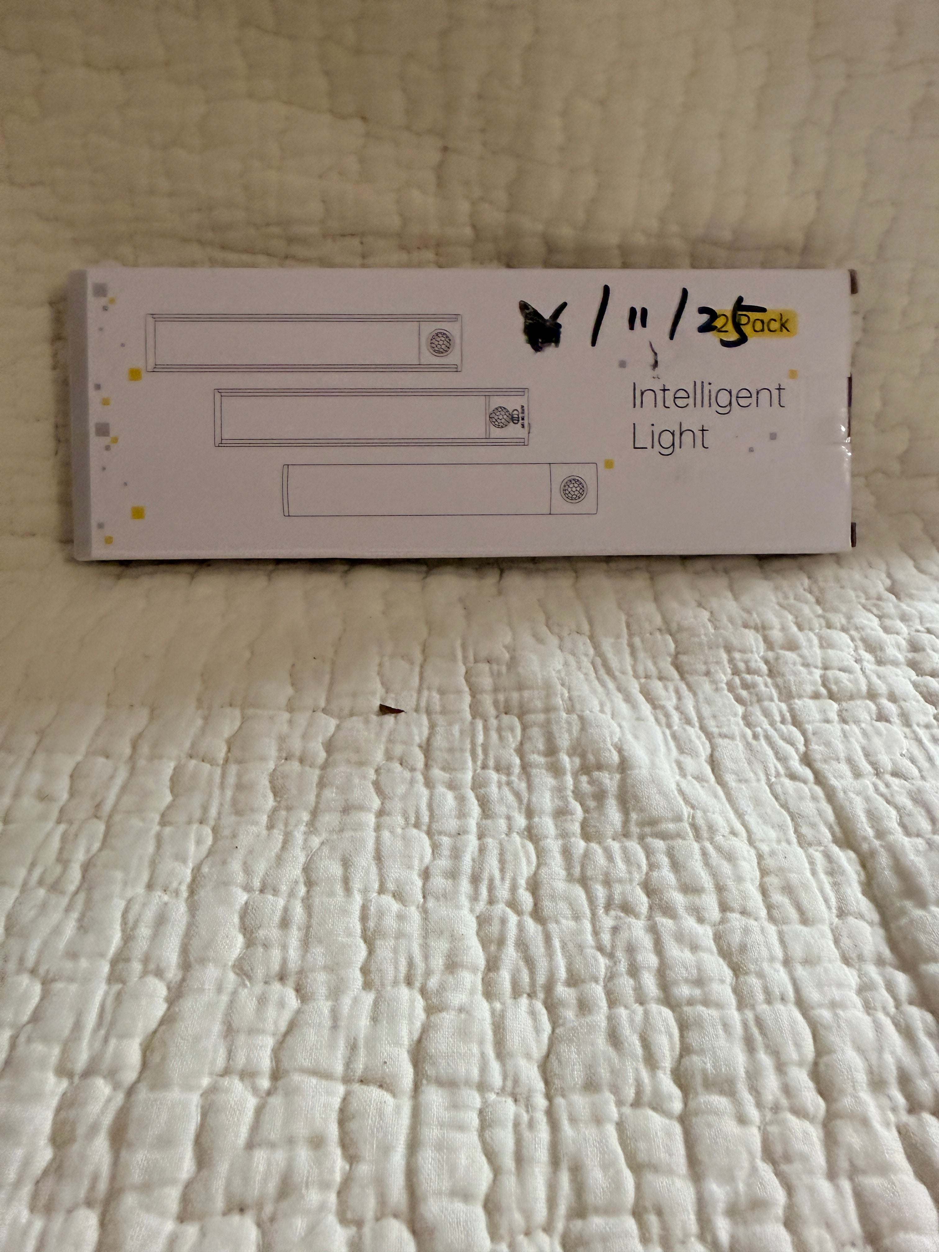 Motion Sensor LED Light 2-pack
