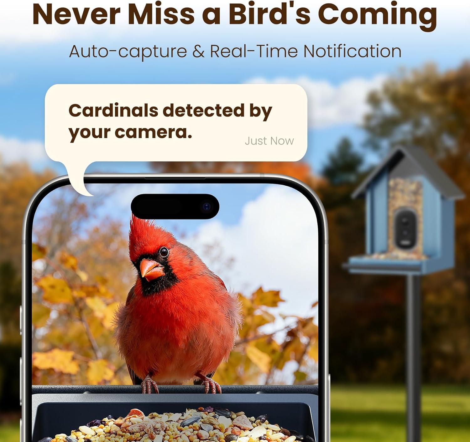 Smart Bird Feeder with Camera 2.5K UHD - AI Identifies 11,000+ Species