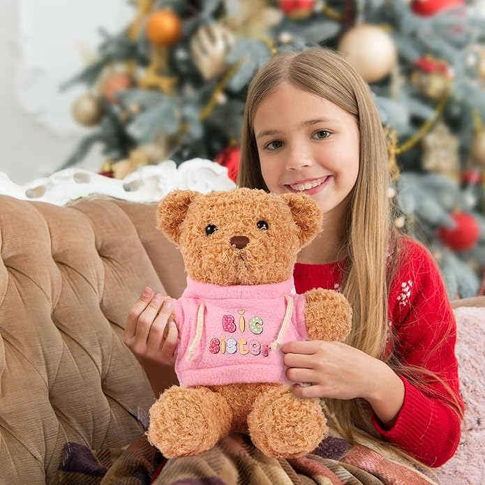Big Sister Gift Set - 6-Piece New Sibling Gift for Girls with Plush Bear