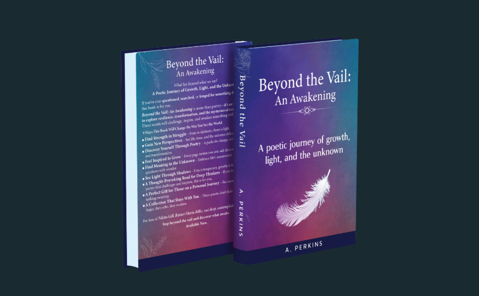 Beyond the Vail: An Awakening - Spiritual Novel (Paperback & Hardcover)