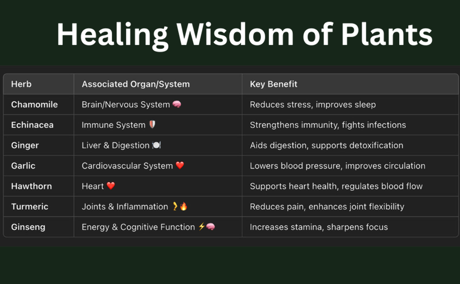 Nature's Healing Remedies: Holistic Herbal Wellness Guide (Paperback & Hardcover)