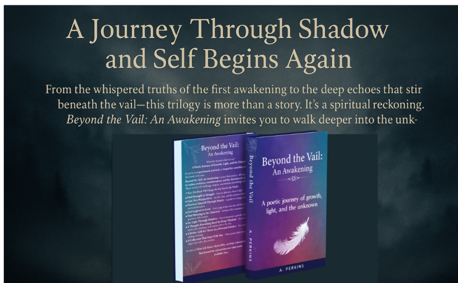 Beyond the Vail: An Awakening - Spiritual Novel (Paperback & Hardcover)