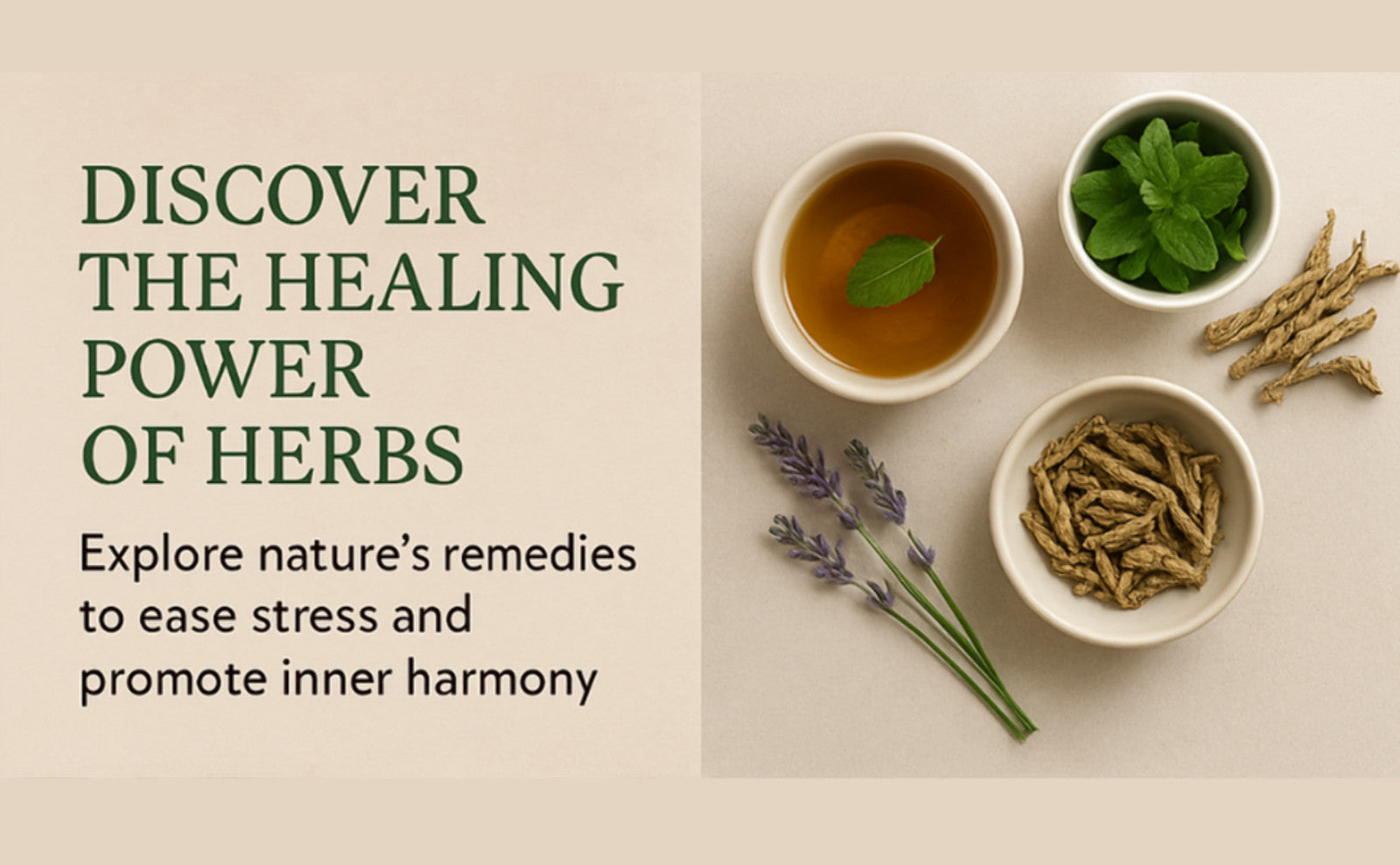 Stress-Free Living: Herbal Solutions for Wellness - Natural Health Guide (Paperback & Hardcover)