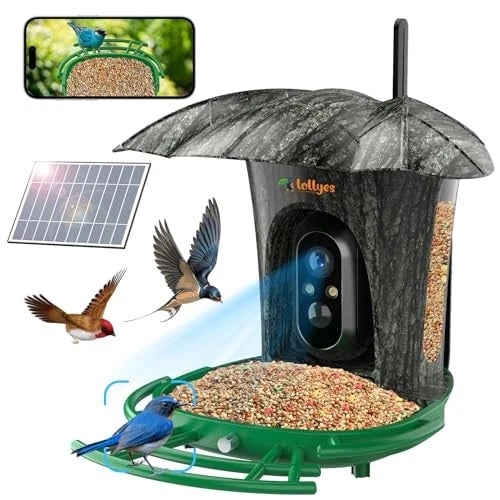 Lollyes AI Smart Bird Feeder Camera combines advanced 1080P HD video with AI technology