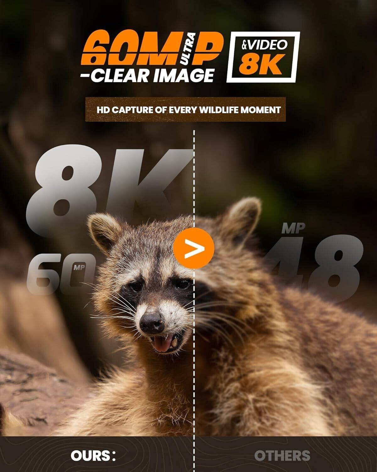 6659333