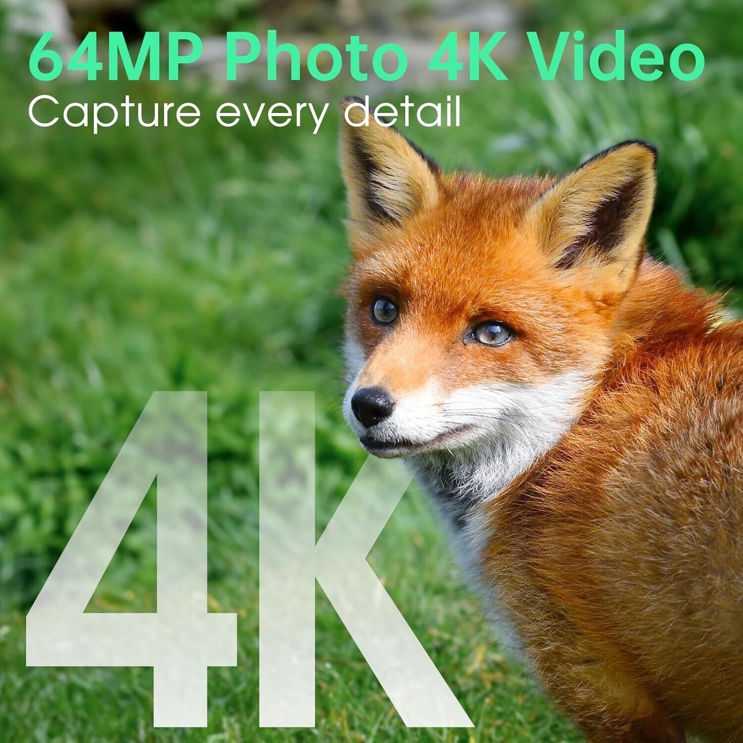 6659332