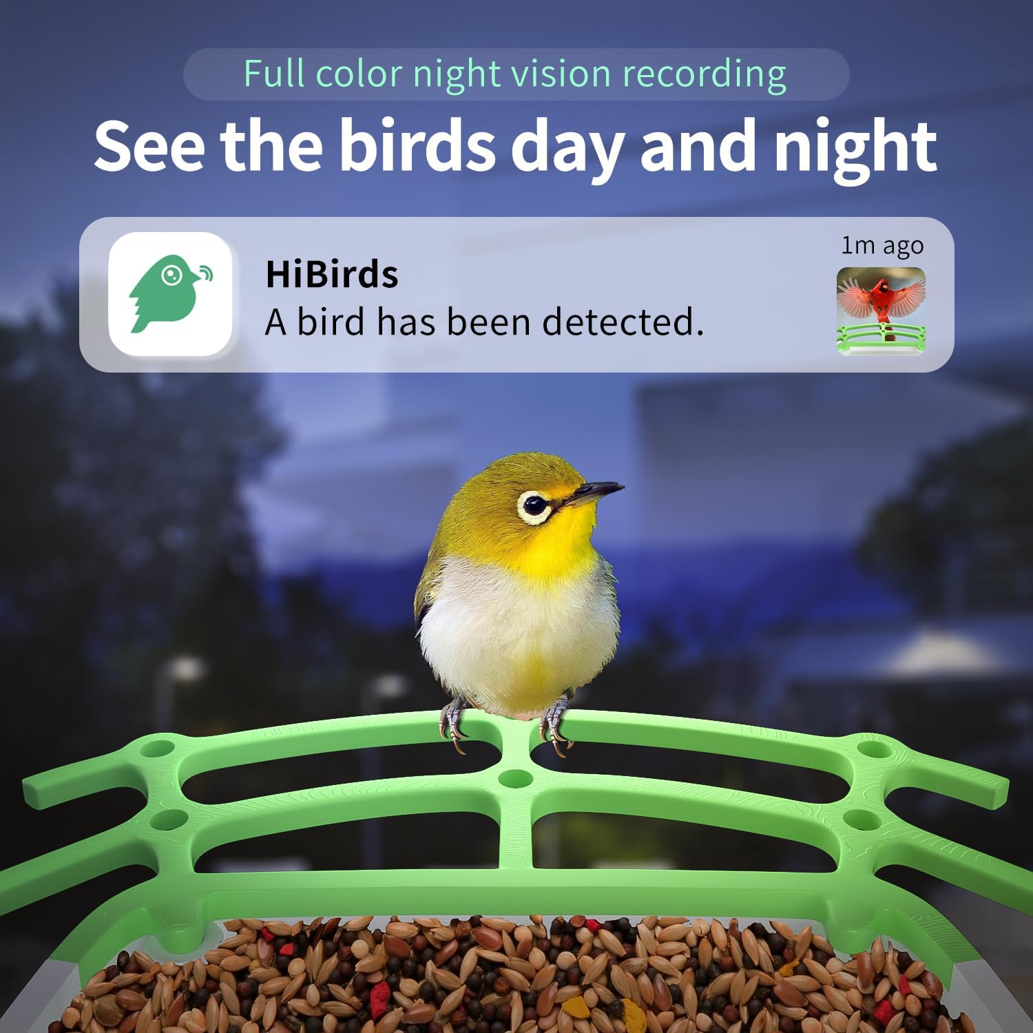 runofast HiBirds-Smart Bird Feeder with Camera,Bird Watching Camera with Solar Powered,