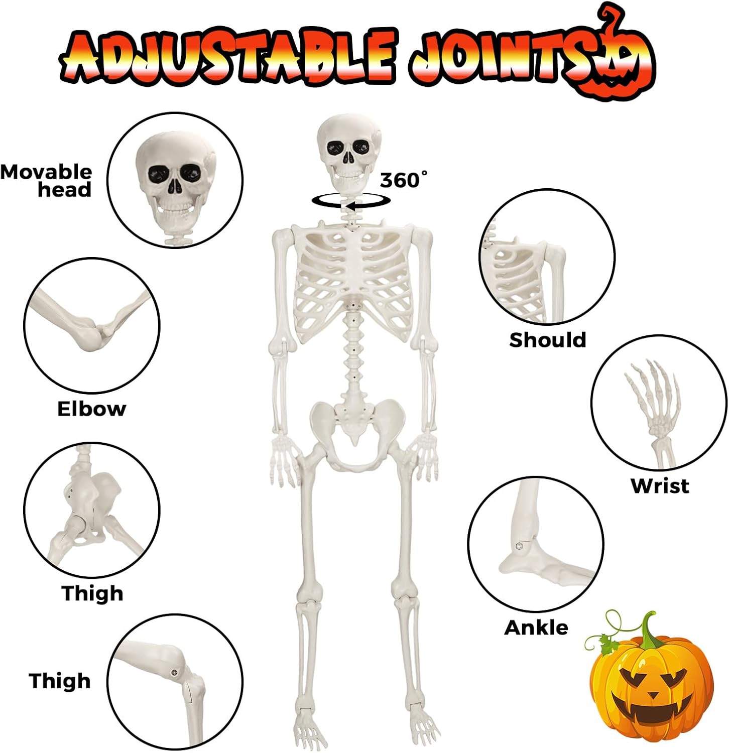 5.4 FT Giant Skeletons for Halloween, Life Full Size Skeleton with Movable Posable Joints