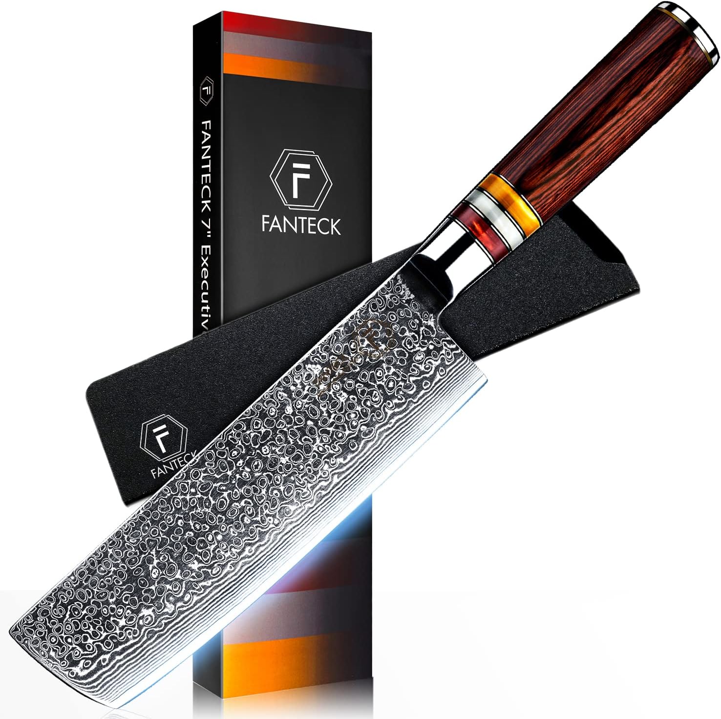 Fanteck 9.5" Kiritsuke Chef Knife,Kitchen Knife Damascus Pro Sharp VG10
