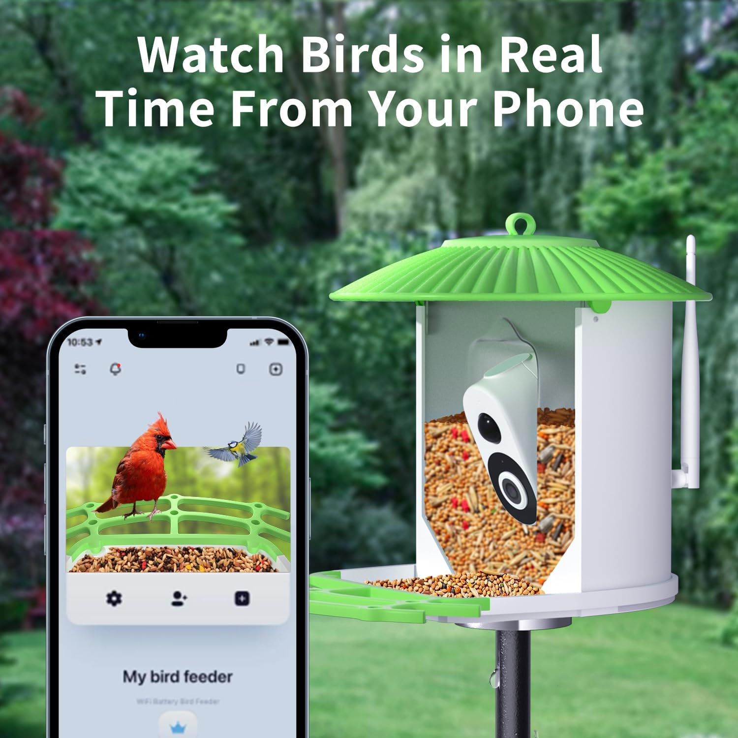 runofast HiBirds-Smart Bird Feeder with Camera,Bird Watching Camera with Solar Powered,