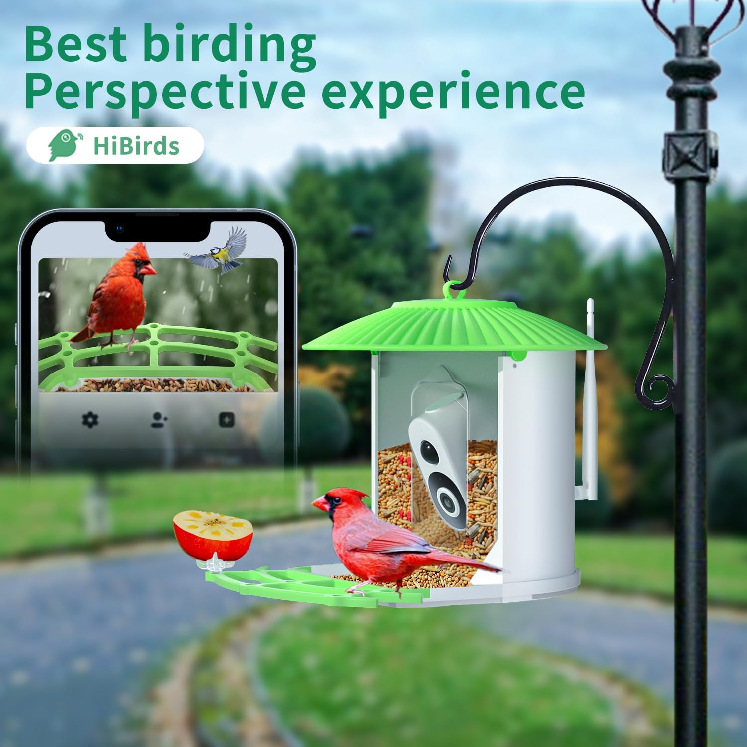 runofast HiBirds-Smart Bird Feeder with Camera,Bird Watching Camera with Solar Powered,