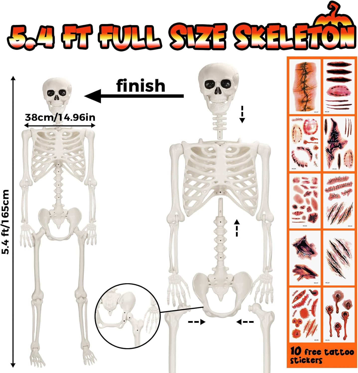 5.4 FT Giant Skeletons for Halloween, Life Full Size Skeleton with Movable Posable Joints