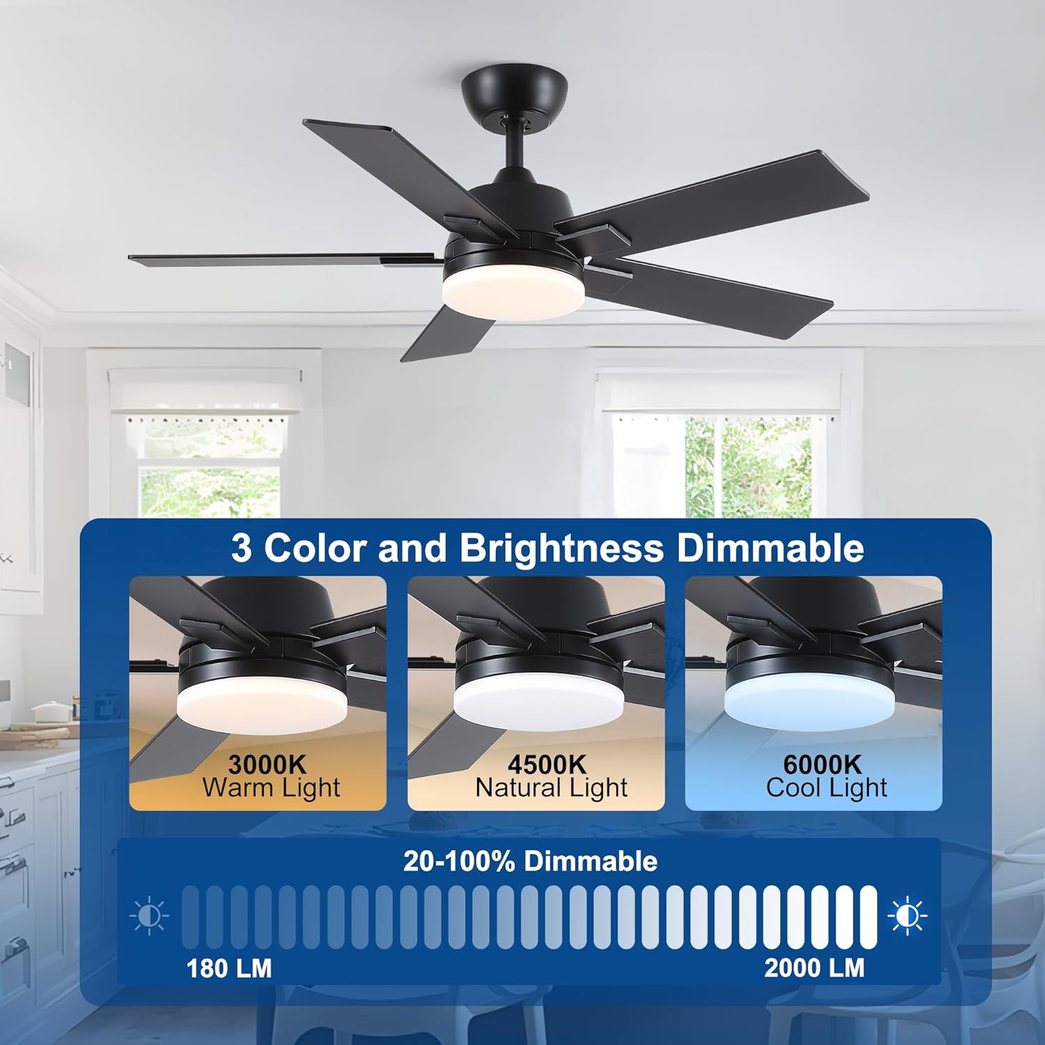 Rayqueen 42 inch ceiling fan with remote and light