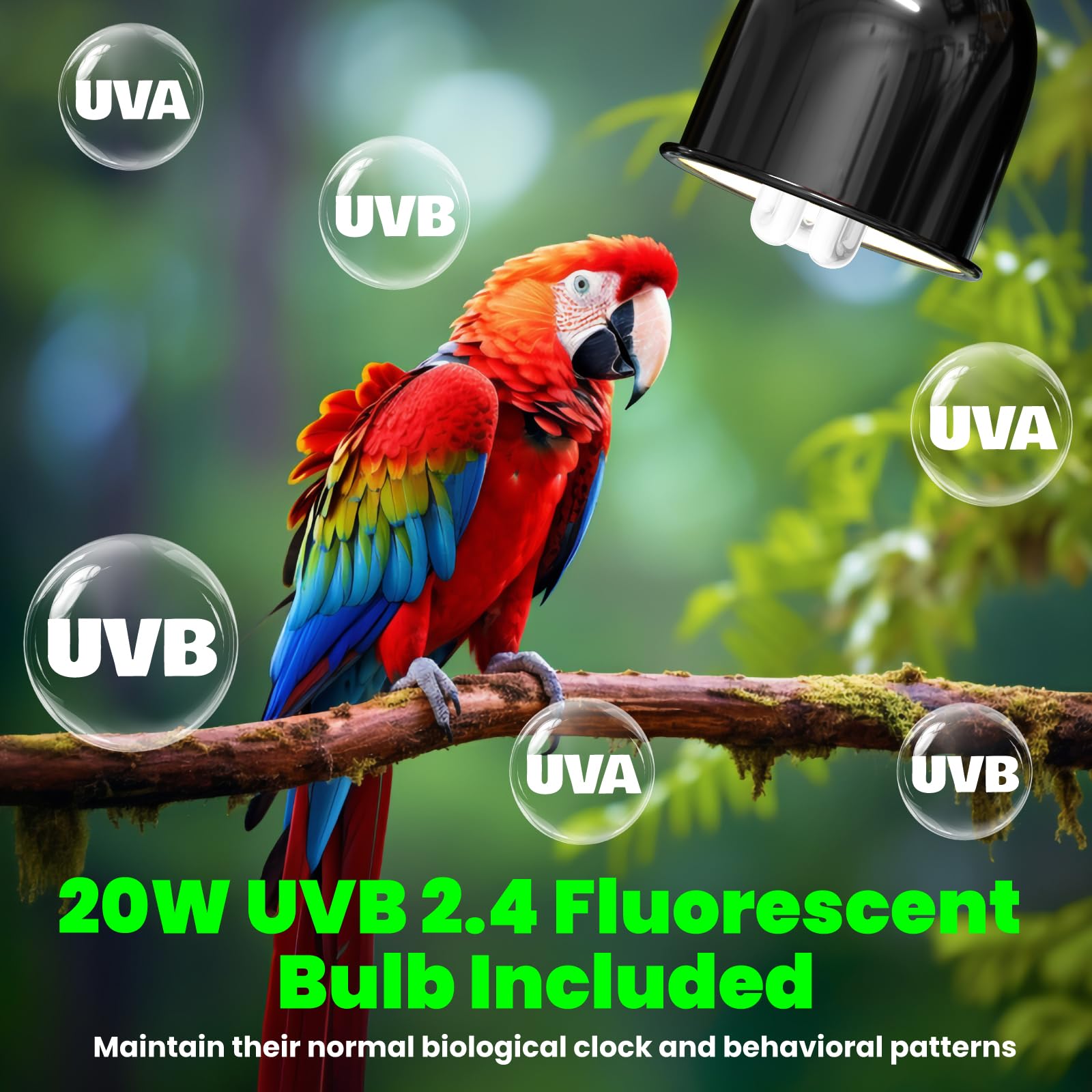 GlowUp Bird Cage Light Fixture + 2.4% UVB 20W Bulb Kit