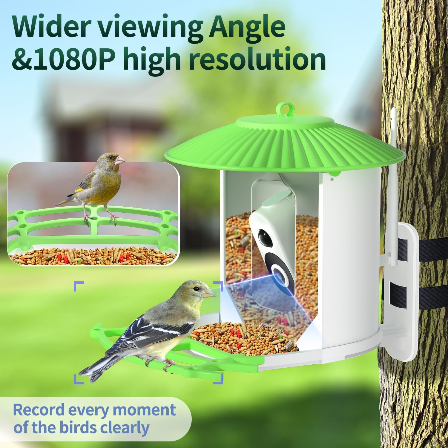runofast HiBirds-Smart Bird Feeder with Camera,Bird Watching Camera with Solar Powered,