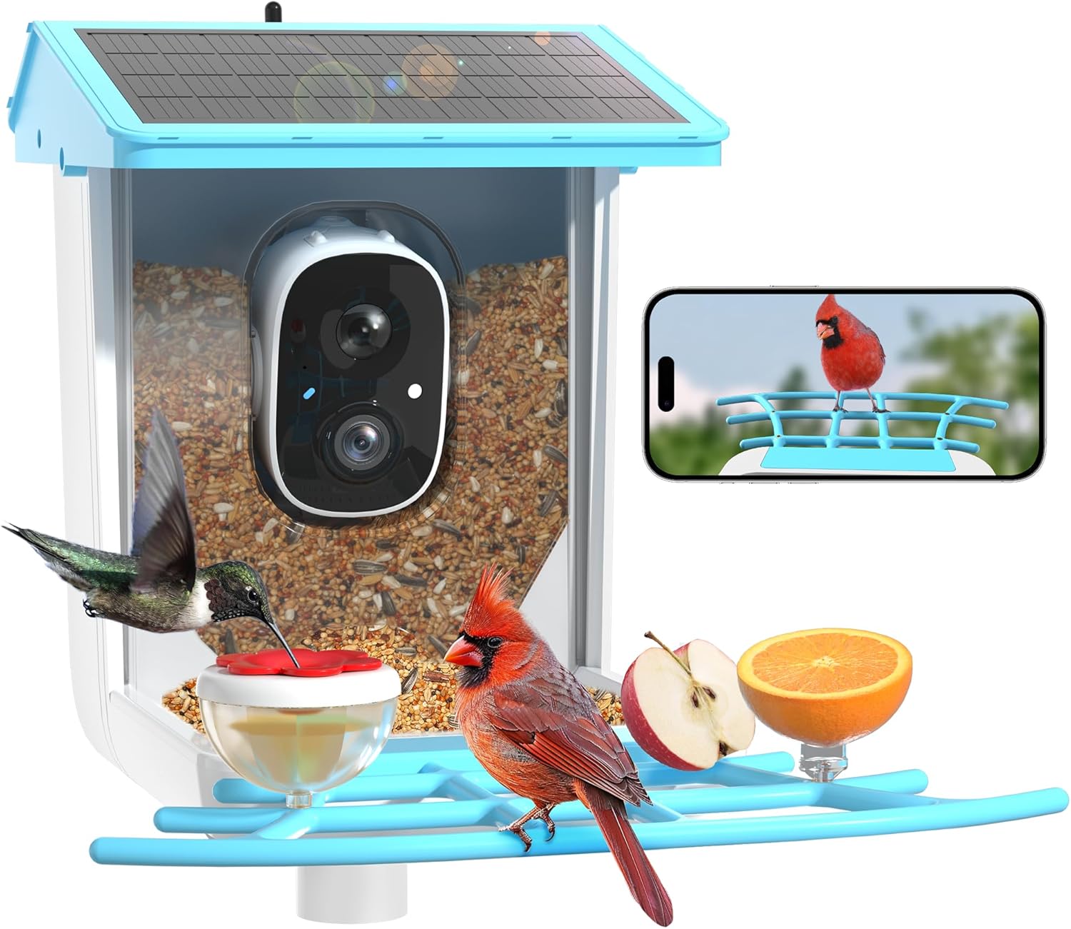 PETCAL Smart Solar Bird Feeder combines advanced technology with nature observation