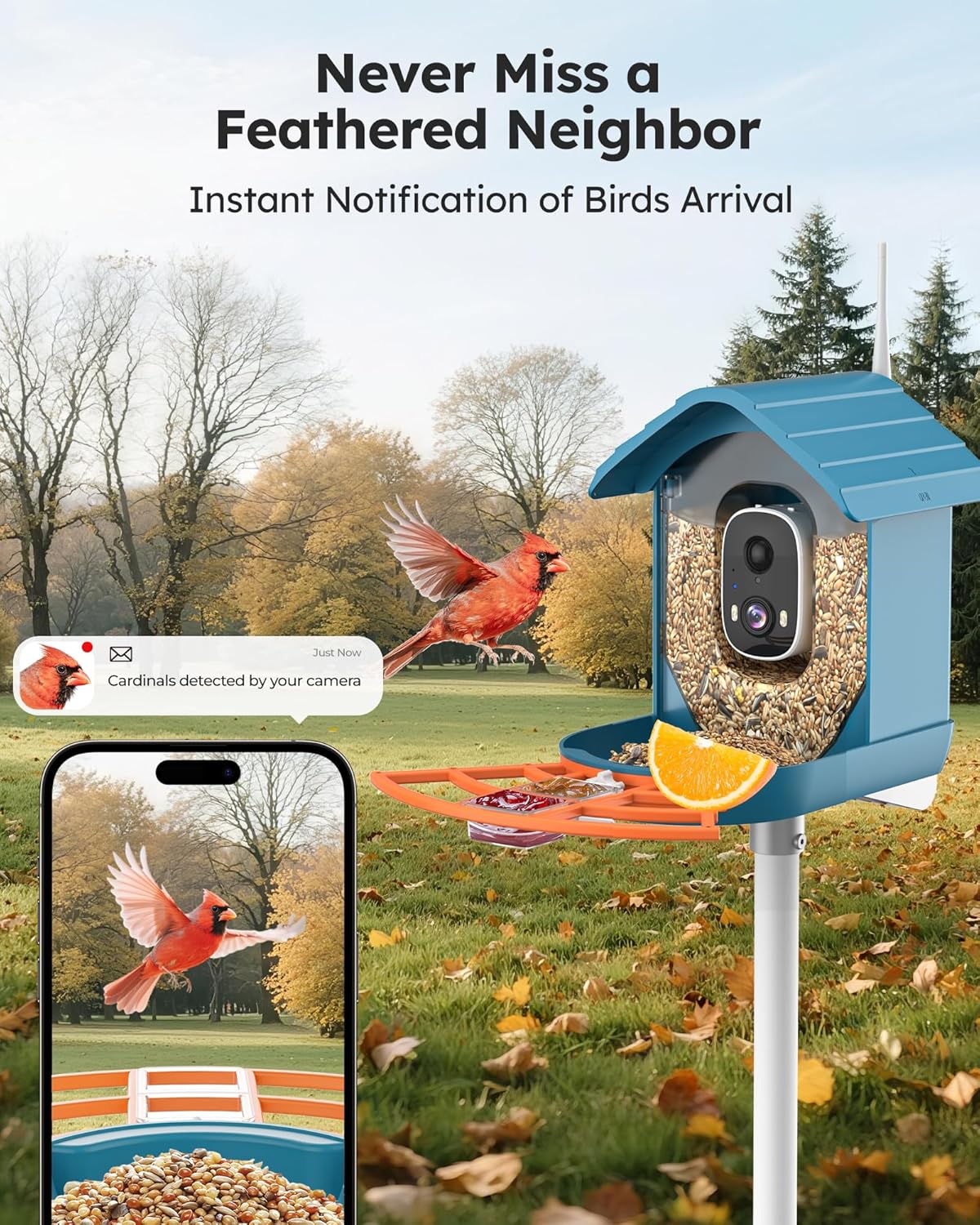 Smart Bird Feeder with AI Camera - HD Bird Watching & Species Identification