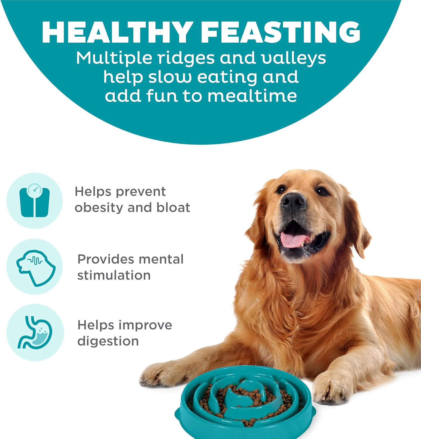 Outward Hound Large Slow Feeder dog Bowl