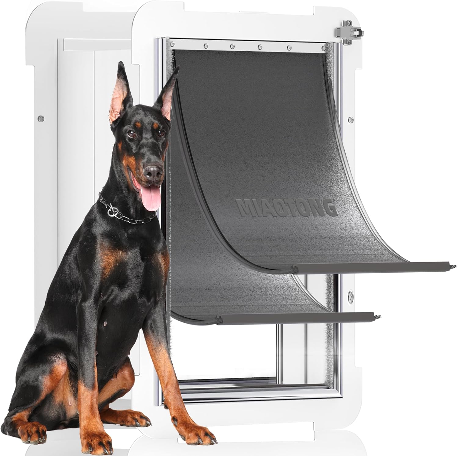 Miaotong Large Dog Door – Double Flap, Steel Frame, Wall Mount