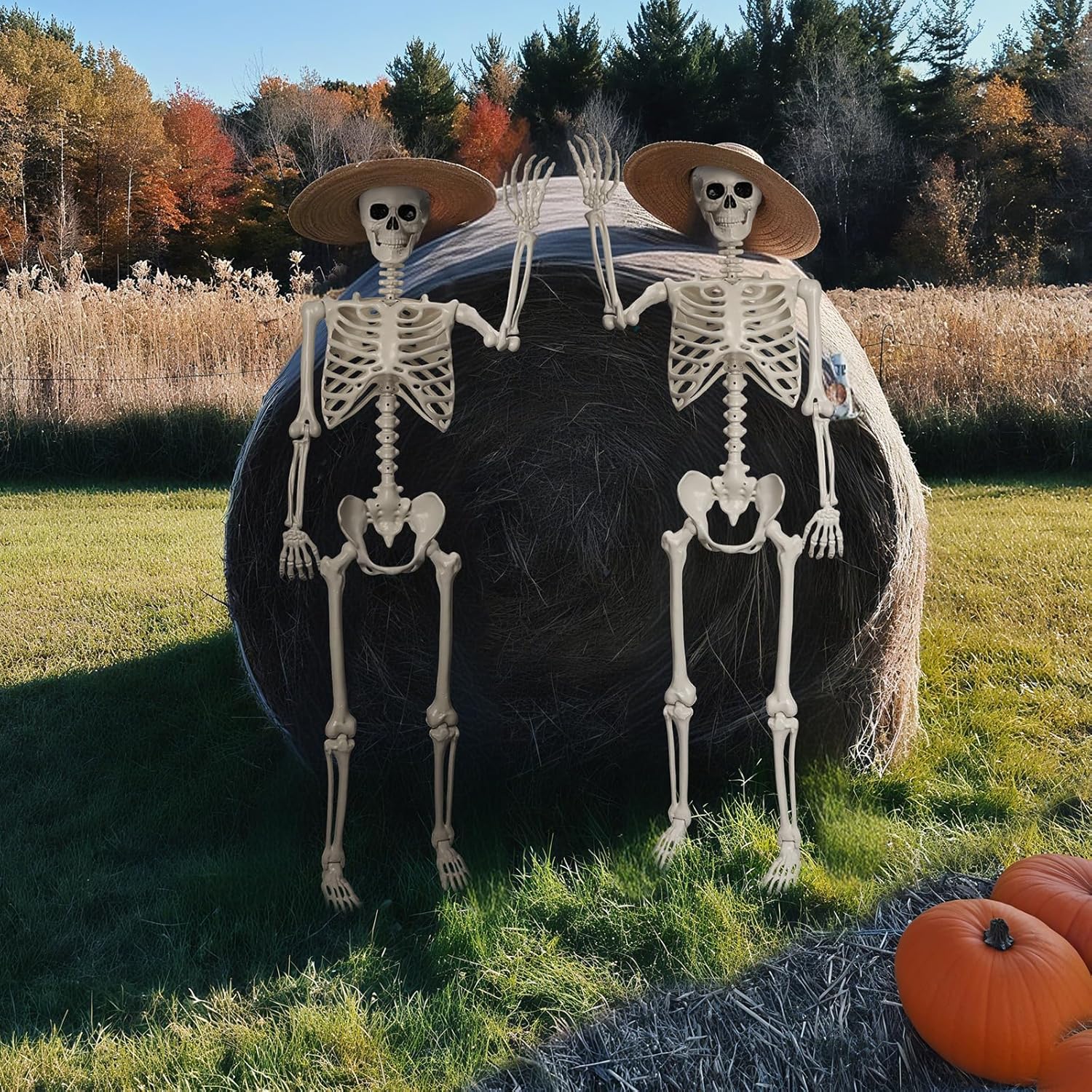 5.4 FT Giant Skeletons for Halloween, Life Full Size Skeleton with Movable Posable Joints